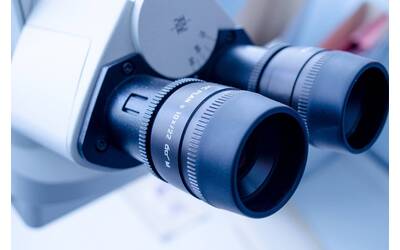 Image: lab-316553_1920