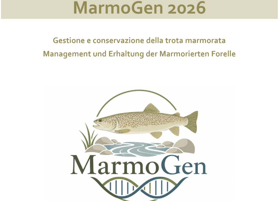 Immagine: MarmoGen26