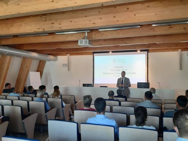 Immagine: Melo-e-piccoli-frutti-focus-di-approfondimento-alla-FEM_popup