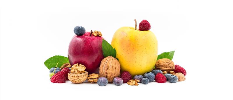 Fruit Crop Genetics and Breeding