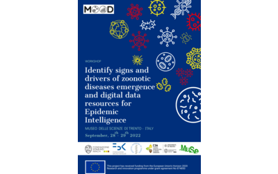 Image: mood_59352138 (5)