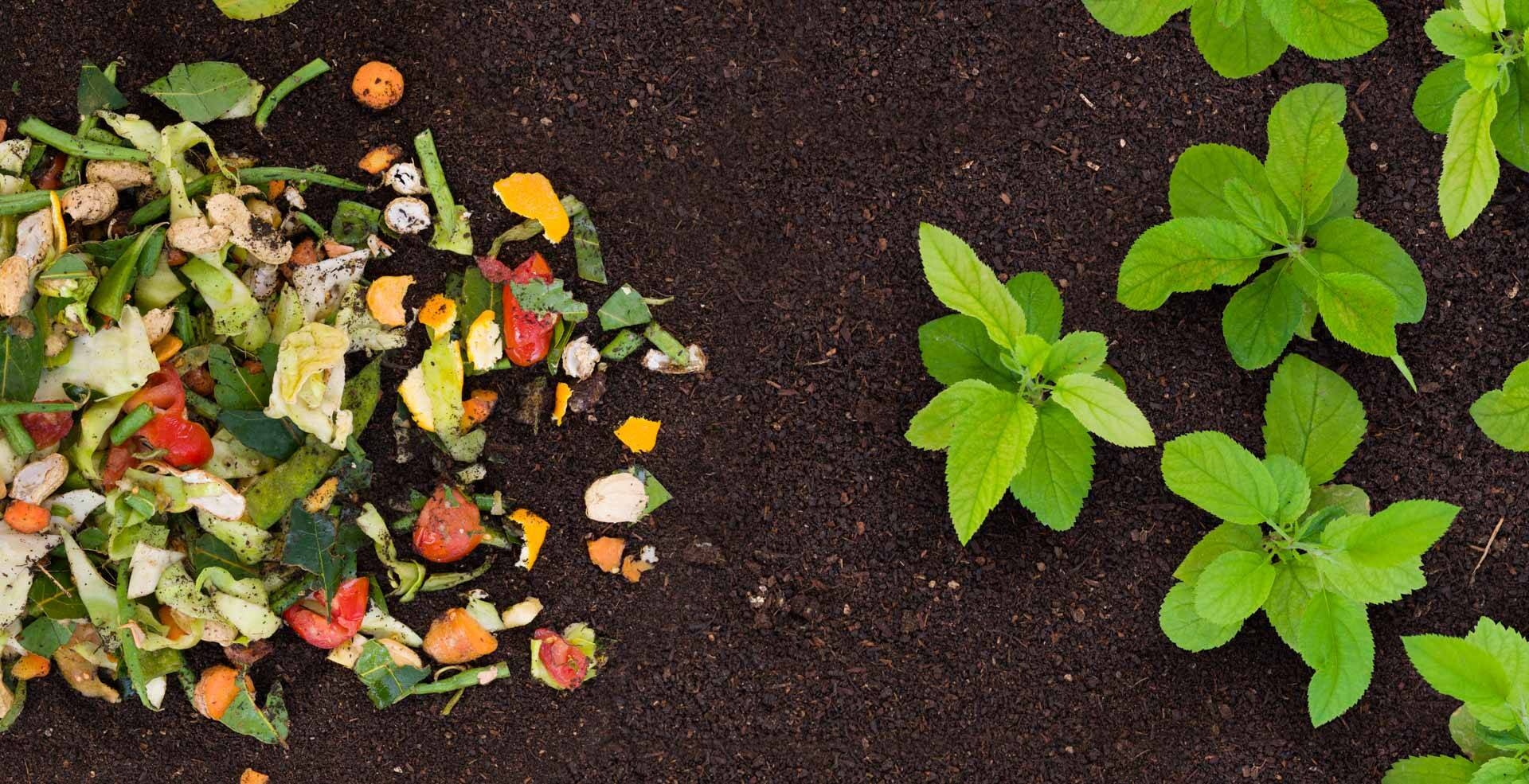 Image: NUOVA-2022-Foto-Marco-Parisi-41