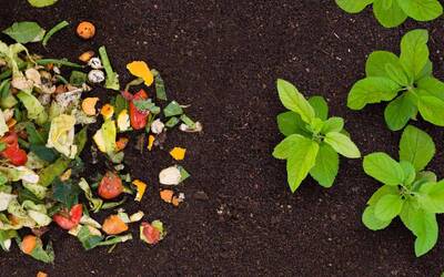 Image: NUOVA-2022-Foto-Marco-Parisi-41