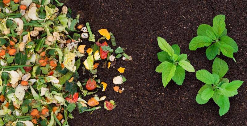 Bioeconomy