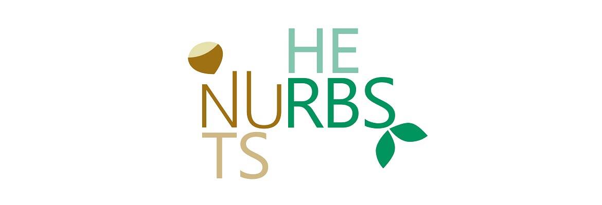 Image: NURBS