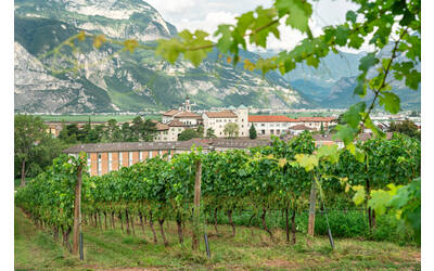 Image: Panoramica Fondazione Edmund Mach - Foto Marco Parisi-1