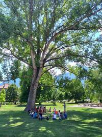 Image: parco -lezione (1)