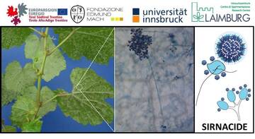 Image: Picture_SIRNACIDE_Project