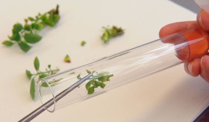 Image: Premiata-la-ricerca-FEM-per-gli-studi-innovativi-in-agricoltura_popup