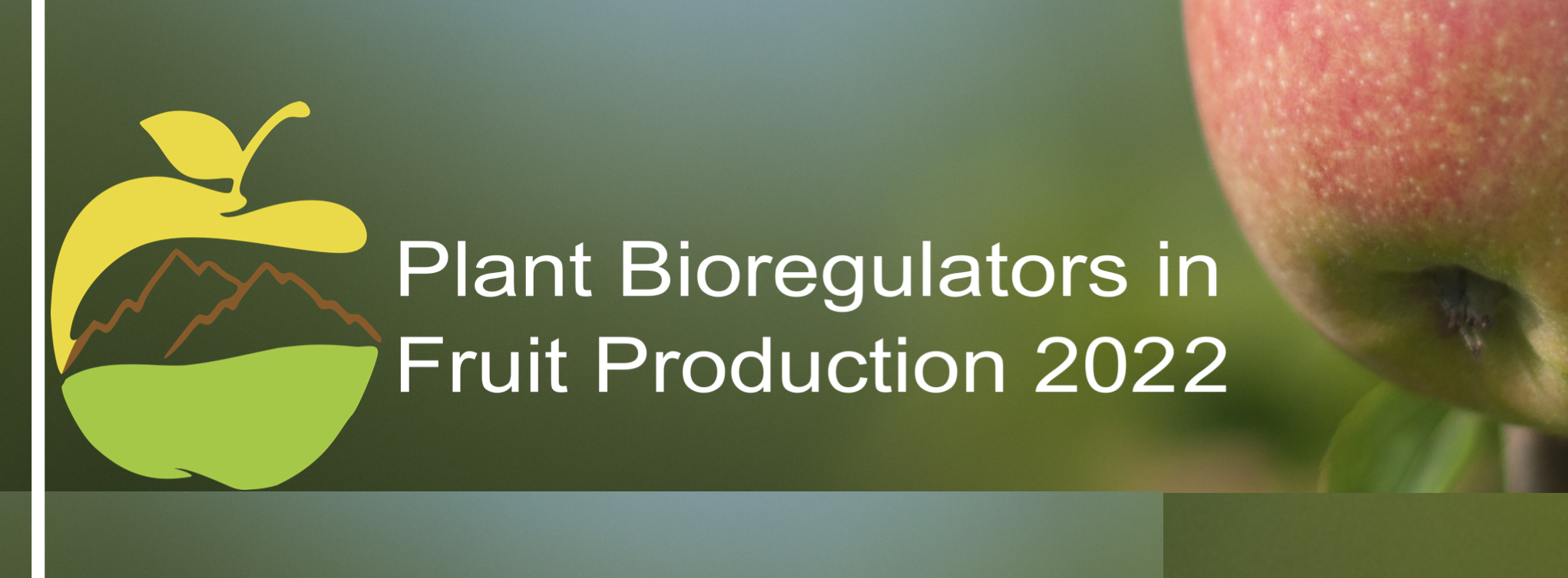 Image: Schermata 2021-12-20 alle 07.05.11