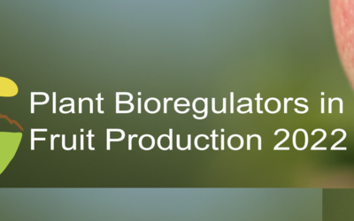 Image: Schermata 2021-12-20 alle 07.05.11