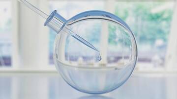 PCT/EP2014/058888: Plant sRNA as immunosuppressive agent