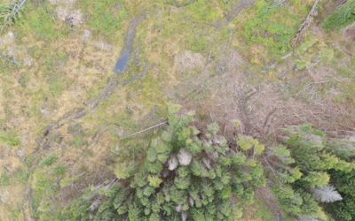 Image: Screenshot 2025-10-27 alle 07.58.13