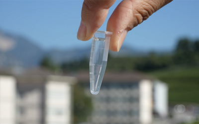 Image: Screenshot 2025-11-02 alle 23.34.35