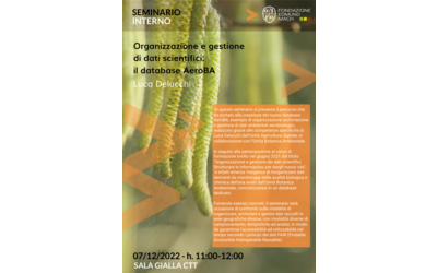 Image: seminario-aerob_60247398