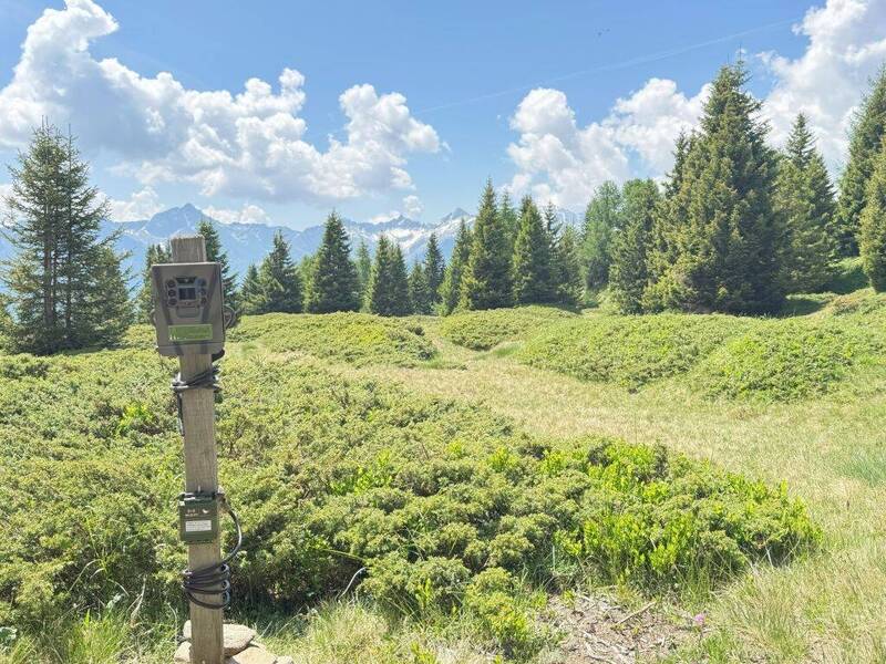 Allo studio i suoni della natura e dell’uomo nei paesaggi alpini