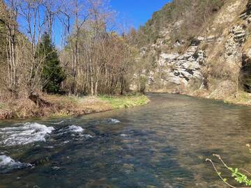 Immagine: Torrente Noce presso Tassullo, con tipica vegetazione riparia.