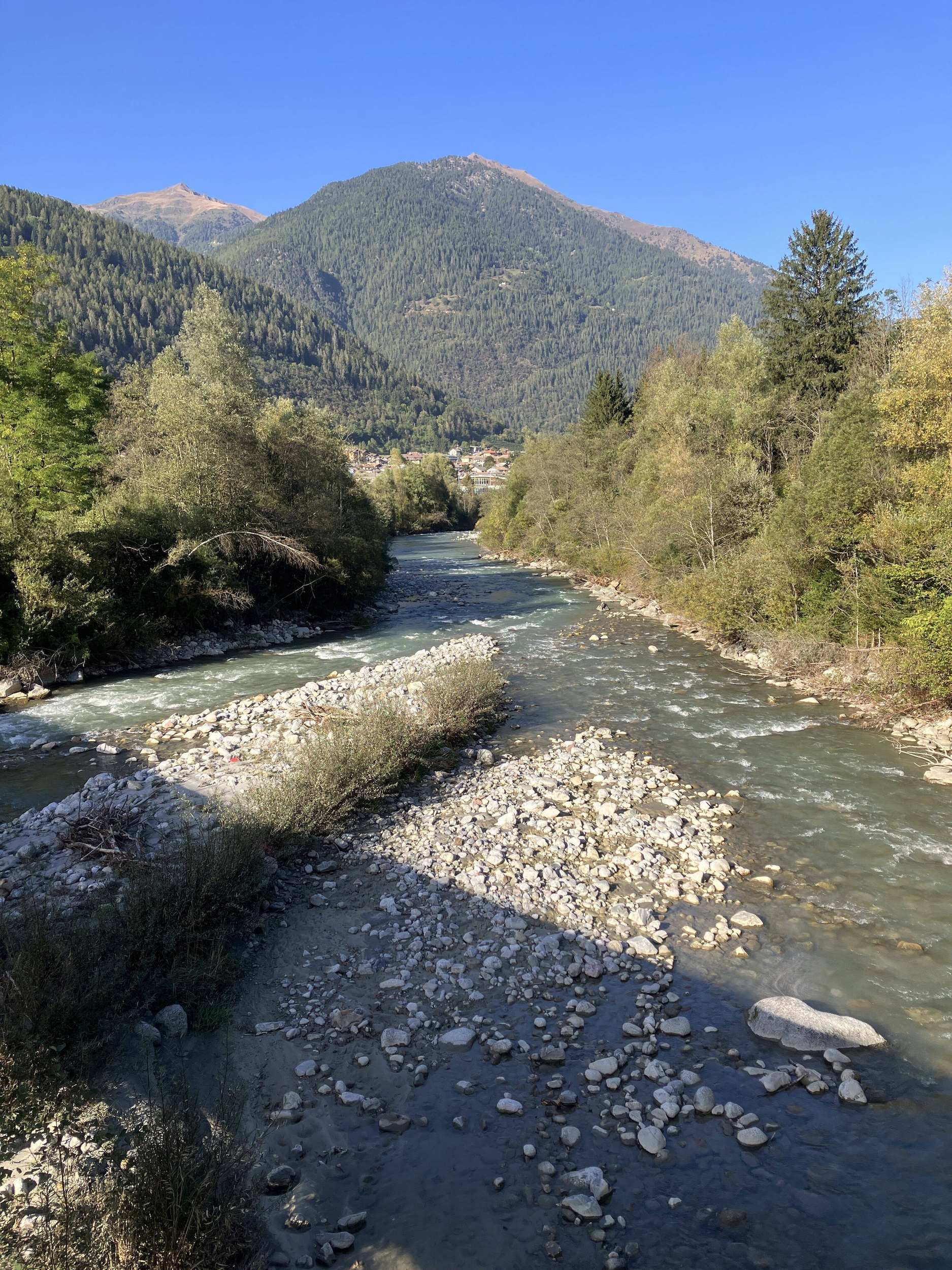 Immagine: Torrente Noce (Val di Sole). Alveo con isole naturali e fasce arboree riparie ben sviluppate