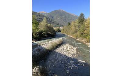 Image: Torrente Noce (Val di Sole). Alveo con isole naturali e fasce arboree riparie ben sviluppate