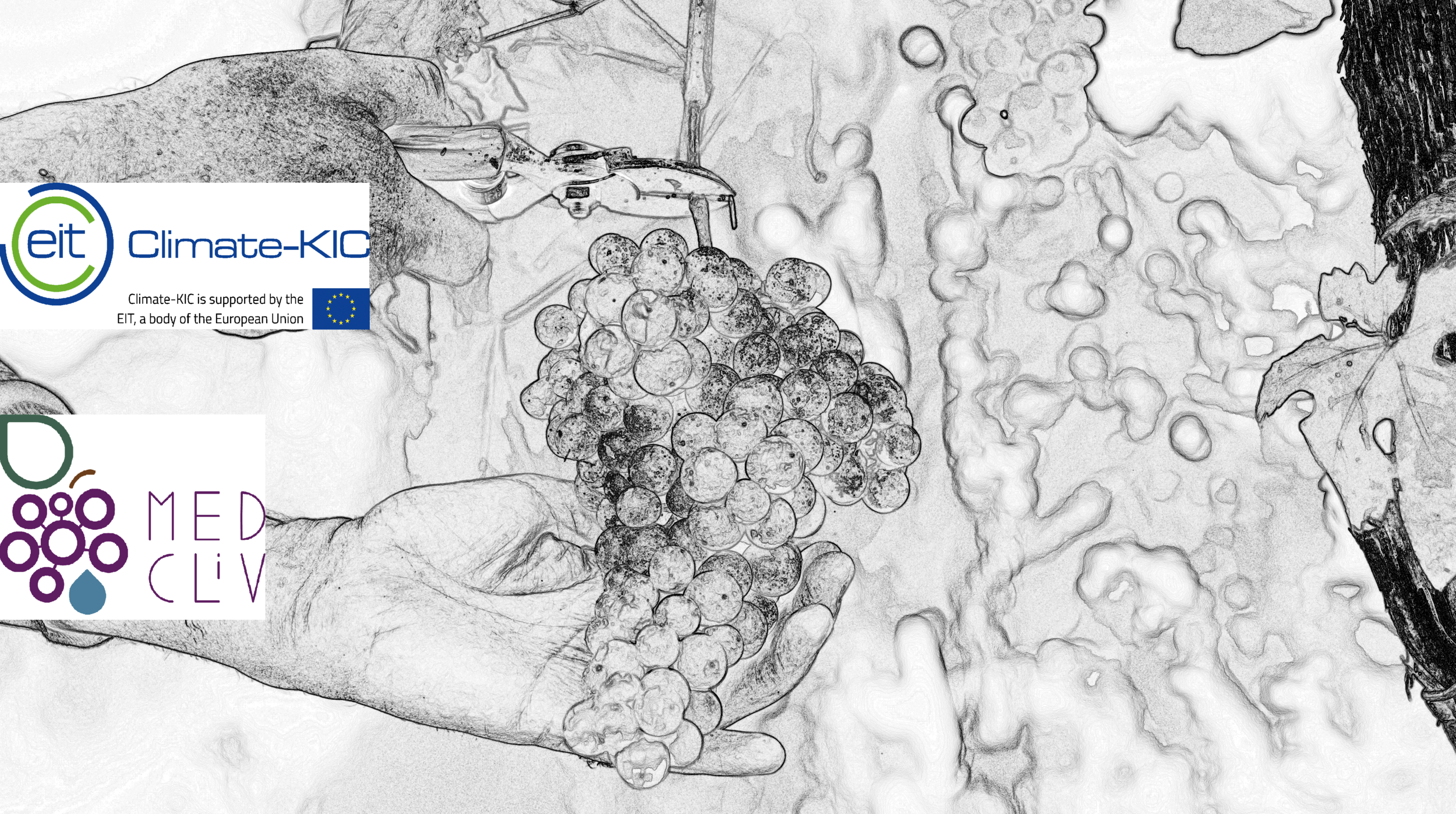 Image: Trebbiano modif. locandina 2 loghi nuovo sito