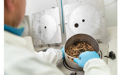 Immagine: Unità-bioeconomia-2022-Foto25.Carico reattore BMP2