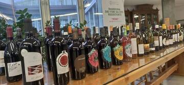 Immagine: vini-piwi_popup