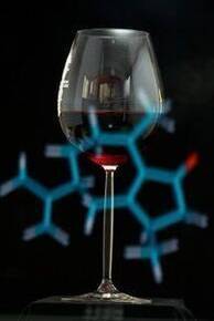 Image: vino-bicchiere-FEM-M.Brega_medium