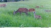 Immagine: vlcsnap-00008