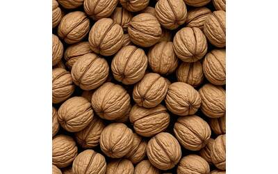 Image: walnuts-8869303_1280_reference