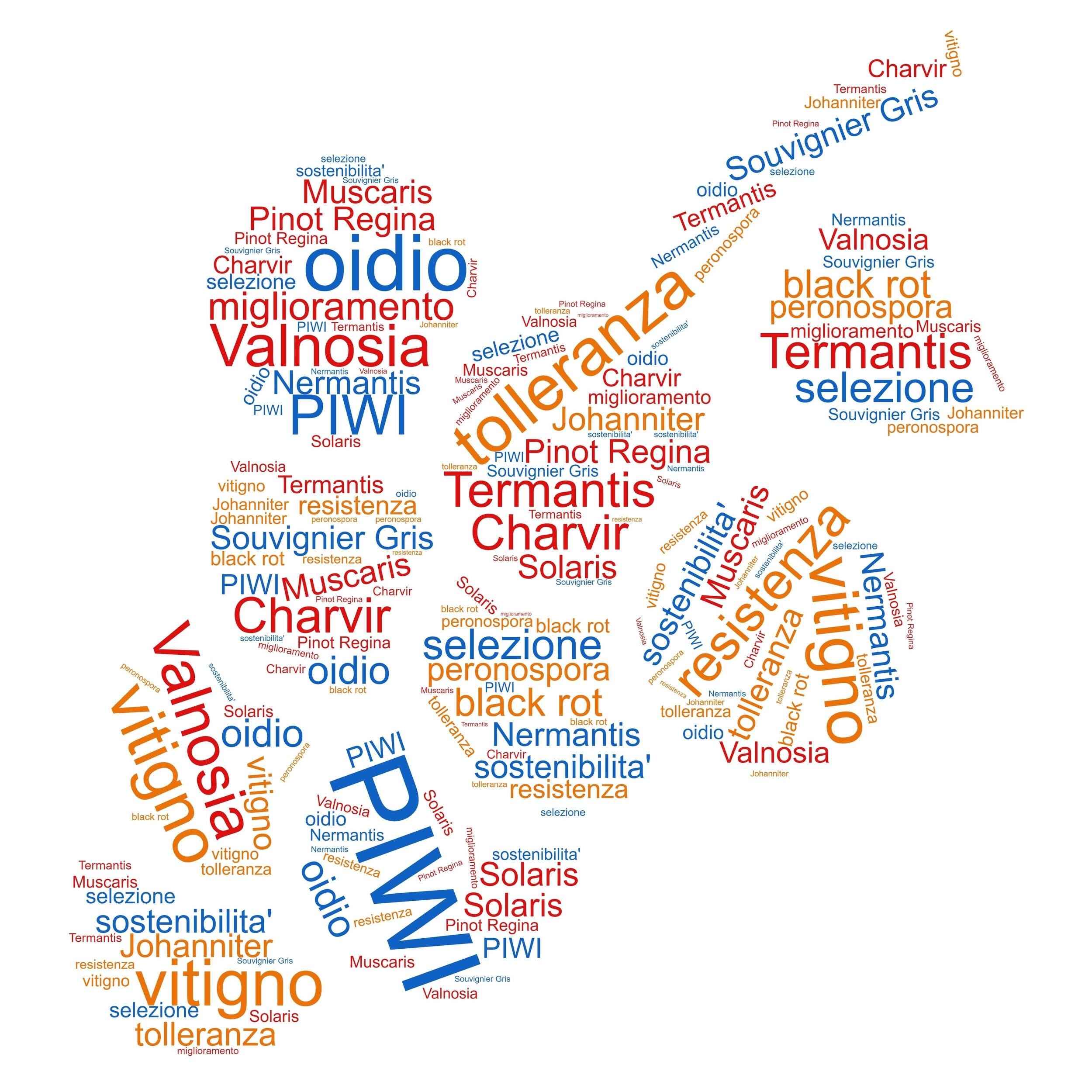 Immagine: wordcloud-no-mask-1_reference