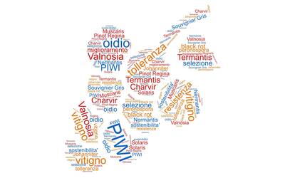 Image: wordcloud-no-mask-1_reference