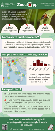 Immagine: ZeccApp Newsletter #1 IT