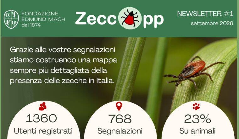 zeccapp